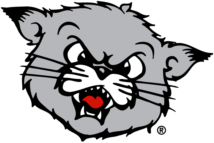 Cincinnati Bearcats 1990-2005 Partial Logo t shirts iron on transfers